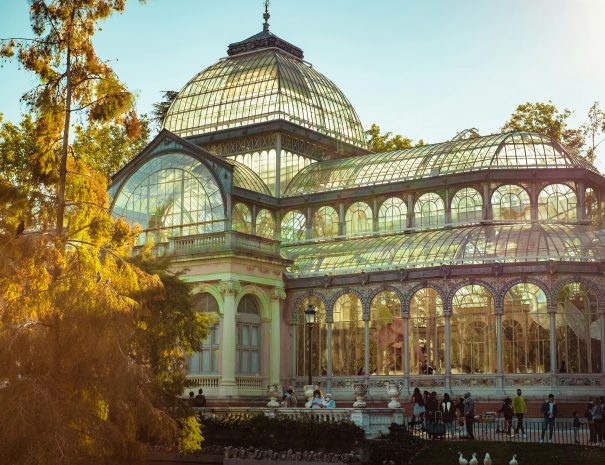 Retiro Park 5